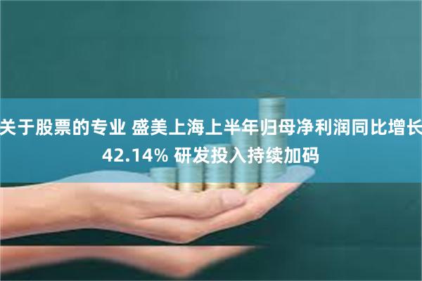 关于股票的专业 盛美上海上半年归母净利润同比增长42.14% 研发投入持续加码