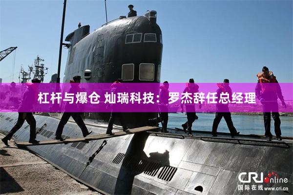 杠杆与爆仓 灿瑞科技：罗杰辞任总经理