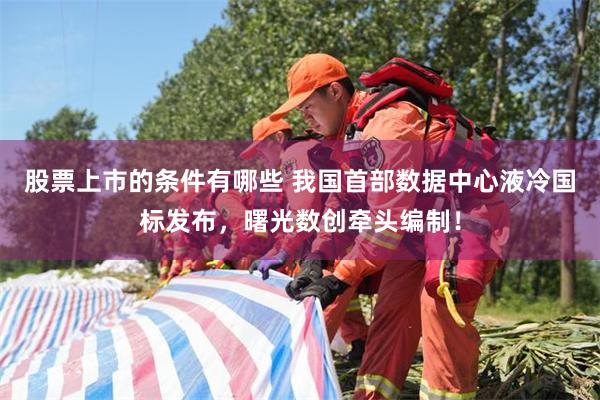 股票上市的条件有哪些 我国首部数据中心液冷国标发布，曙光数创牵头编制！