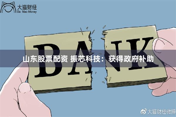 山东股票配资 振芯科技：获得政府补助