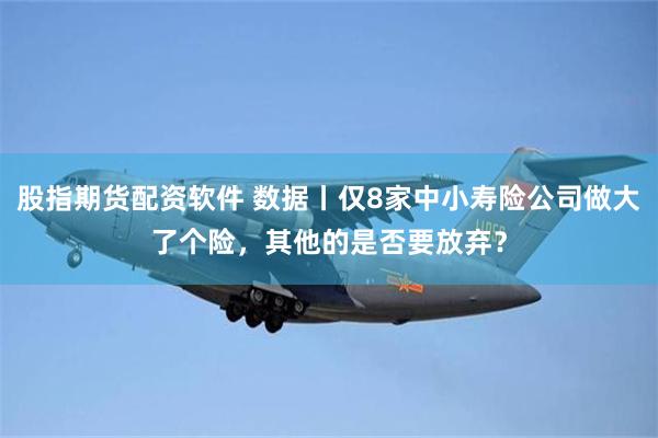 股指期货配资软件 数据丨仅8家中小寿险公司做大了个险，其他的是否要放弃？