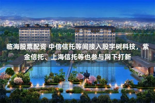 临海股票配资 中信信托等间接入股宇树科技，紫金信托、上海信托等也参与网下打新