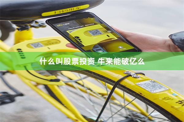 什么叫股票投资 牛来能破亿么