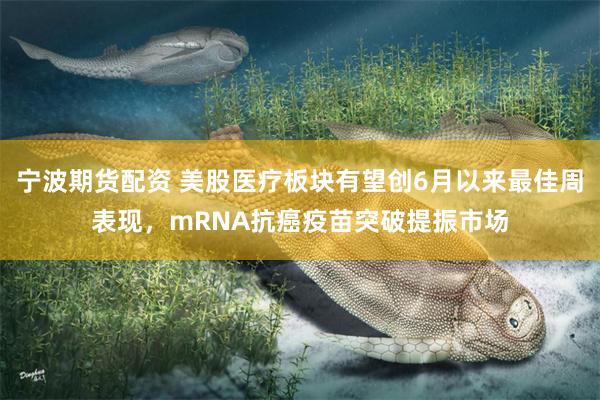 宁波期货配资 美股医疗板块有望创6月以来最佳周表现，mRNA抗癌疫苗突破提振市场