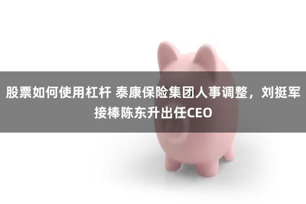股票如何使用杠杆 泰康保险集团人事调整，刘挺军接棒陈东升出任CEO