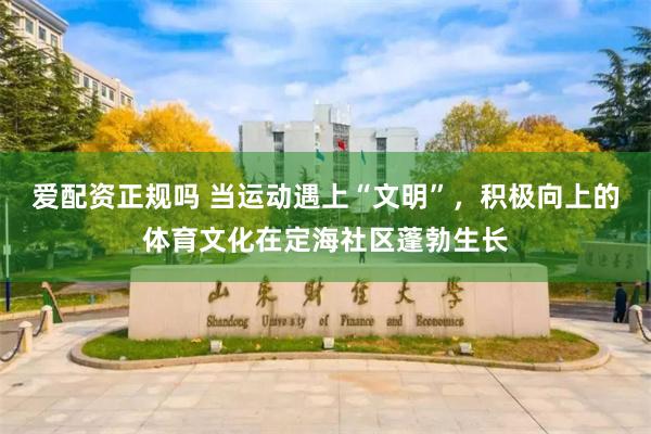 爱配资正规吗 当运动遇上“文明”，积极向上的体育文化在定海社区蓬勃生长
