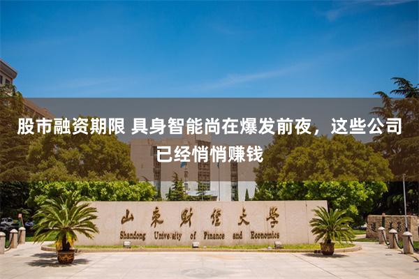 股市融资期限 具身智能尚在爆发前夜，这些公司已经悄悄赚钱