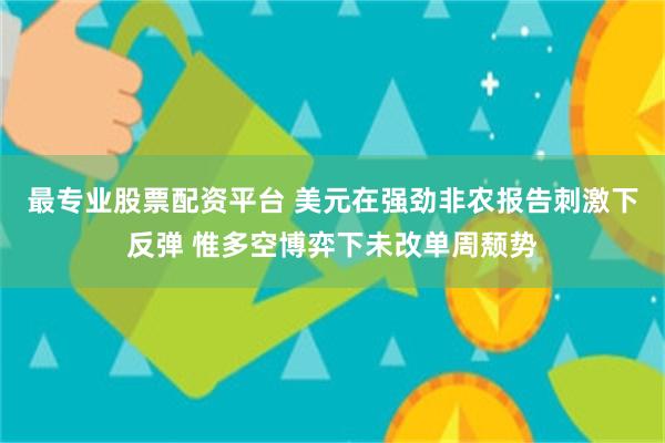 最专业股票配资平台 美元在强劲非农报告刺激下反弹 惟多空博弈下未改单周颓势